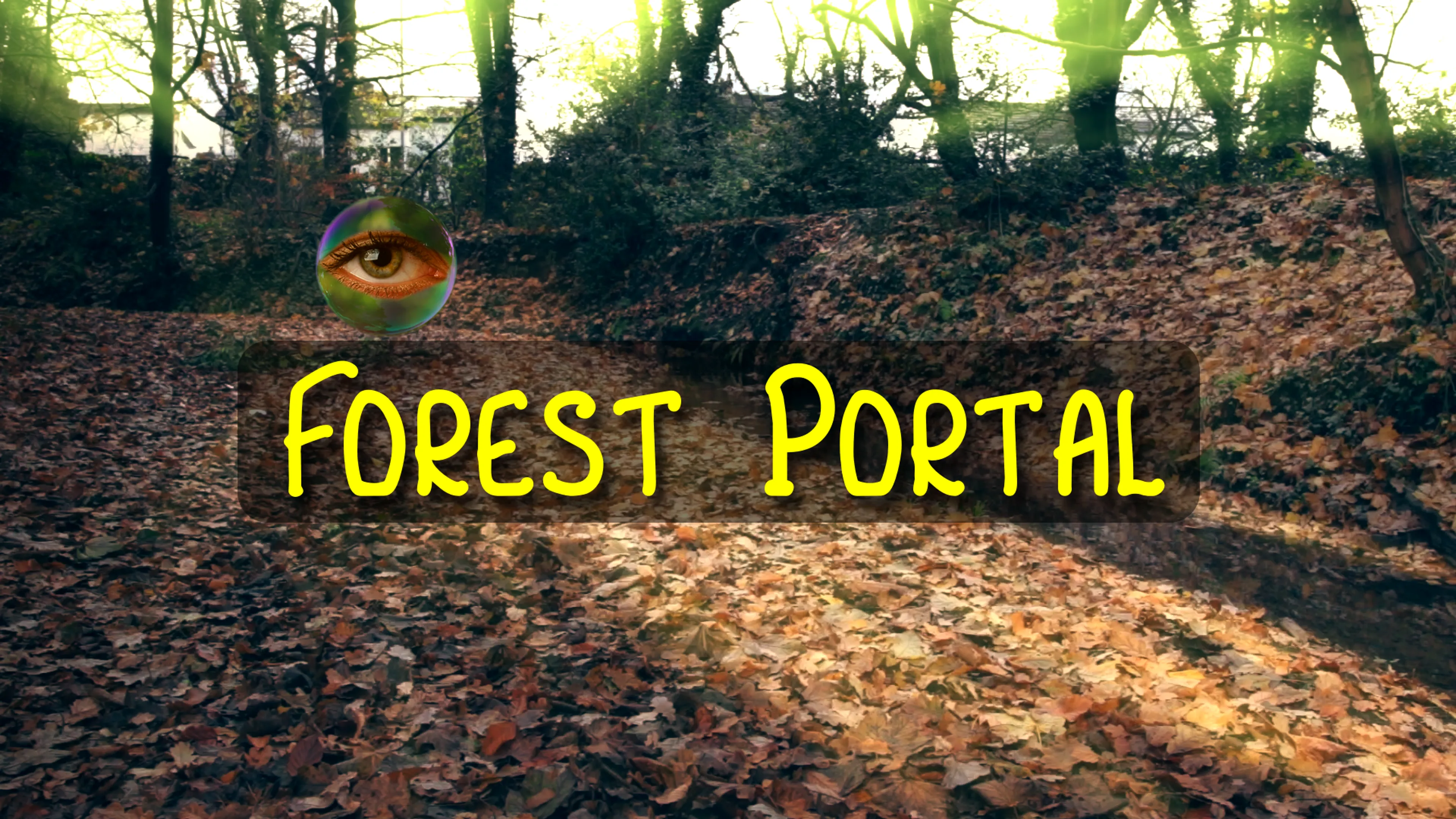 Forest Portal poster